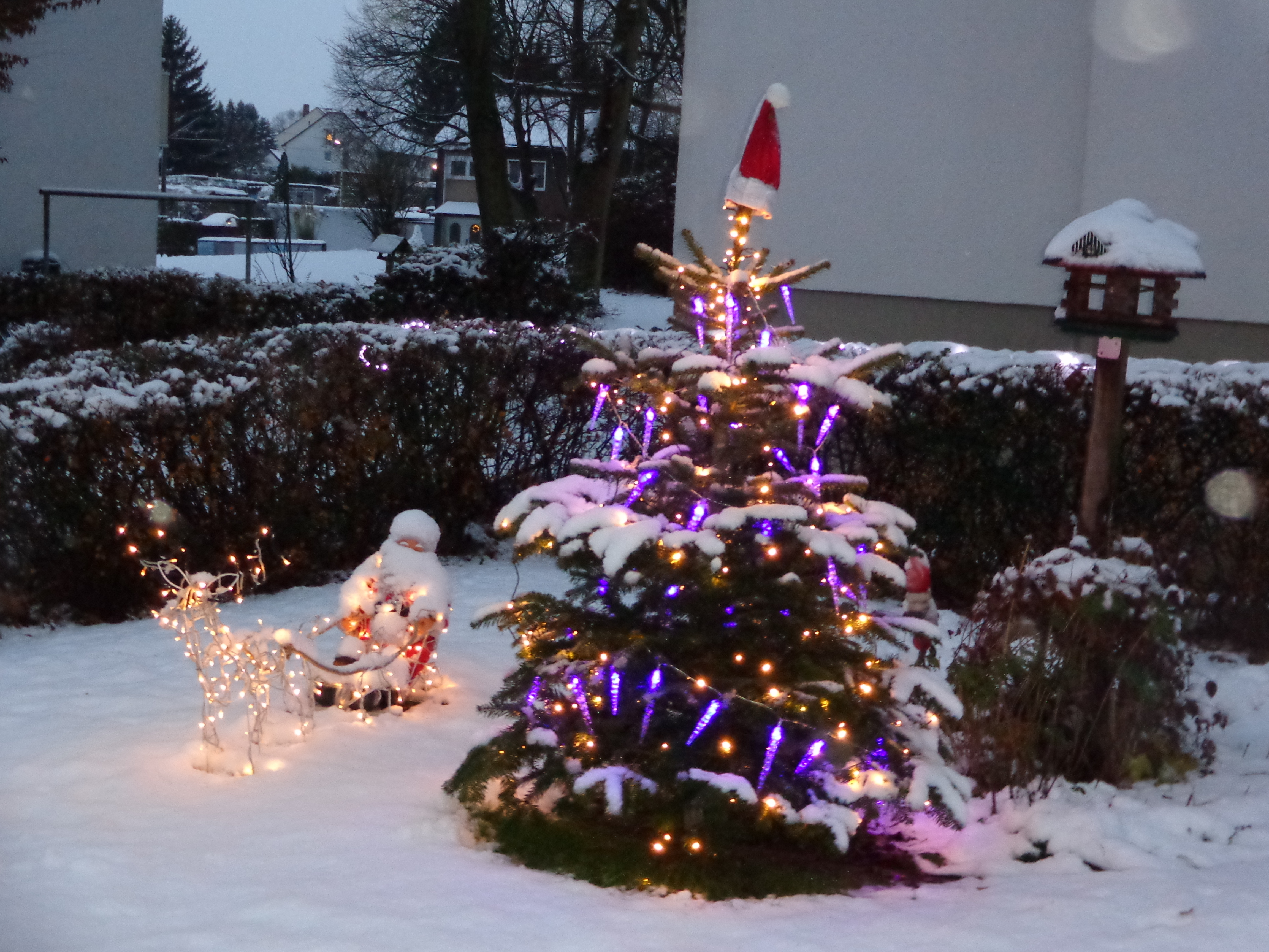 Noch ist er schön anzusehen, aber wohin dann mit dem Baum? Einfach zur Sammelstelle bringen.