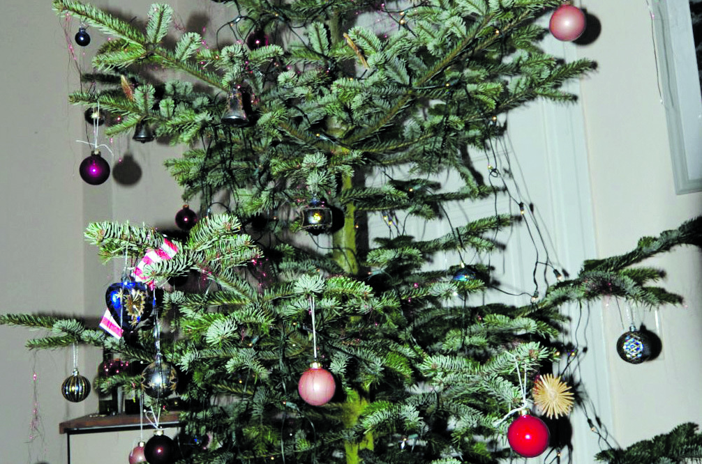 Bevor die Bäume entsorgt werden, müssen Lametta und anderer Weihnachtsbaumschmuck abgenommen werden.