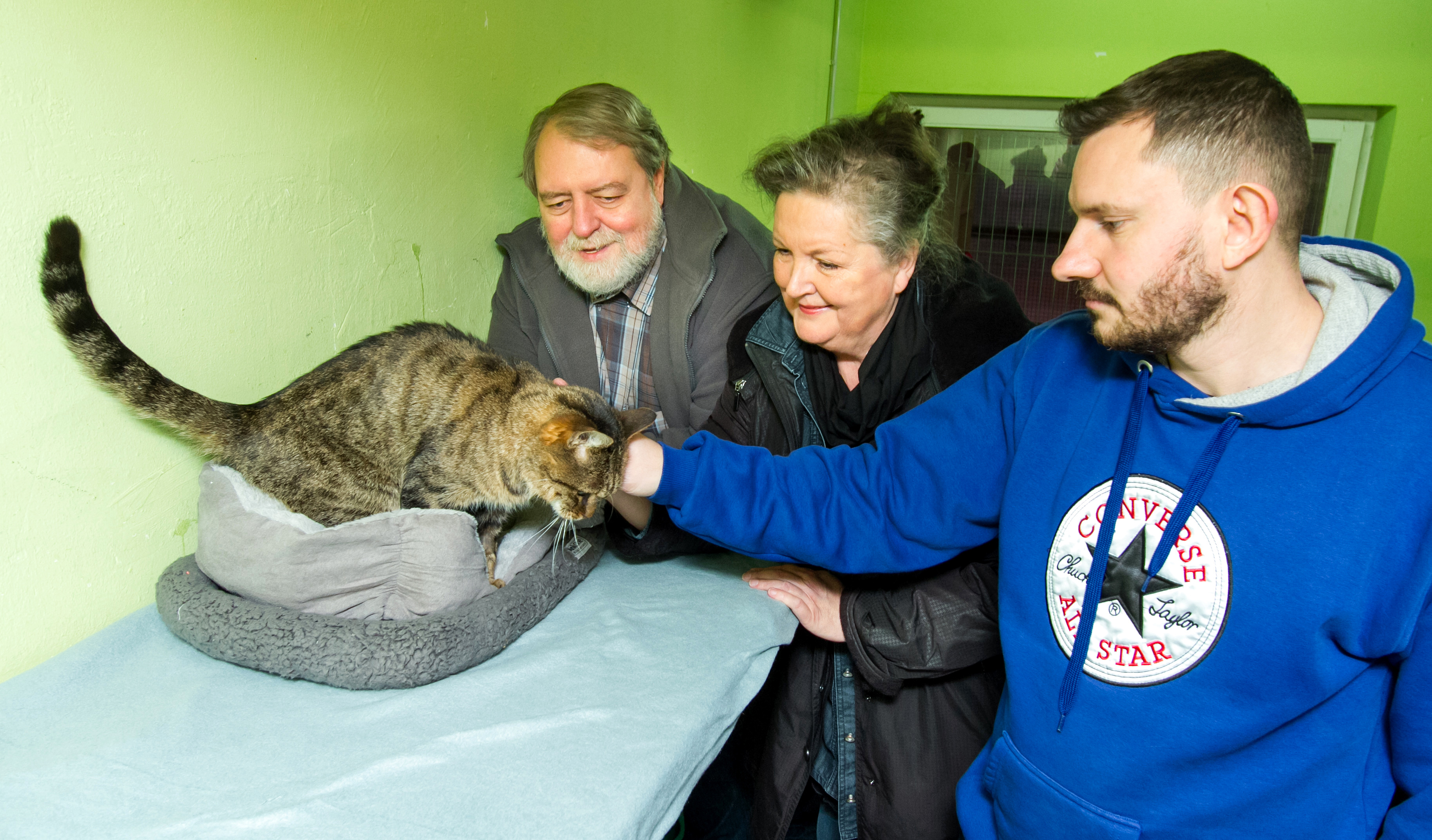Tierheimleiter Daniel May (1.von r,) weiß die Katzen bei den Willemsens in besten Händen