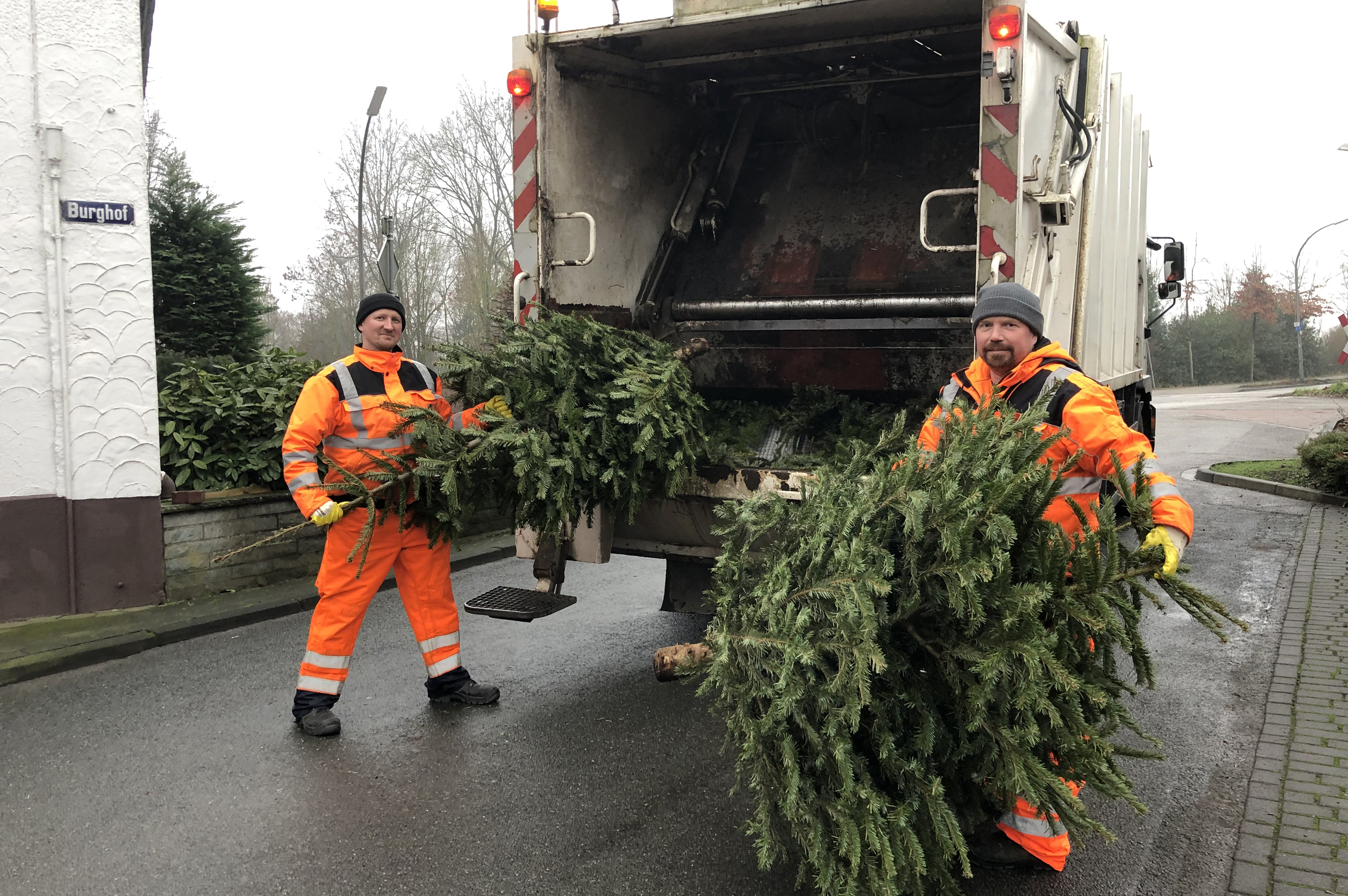 Parallel zur Müllabfuhr ist auch der Laster zur Abholung der Weihnachtsbäume unterwegs.
