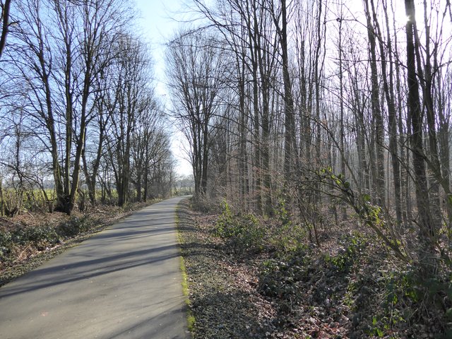 Die westliche Hälfte des Rheischen Esels ist in einem tadellosen Zustand - so sollte die östliche Hälfte auch gestaltet werden. | Foto: Joachim Drell