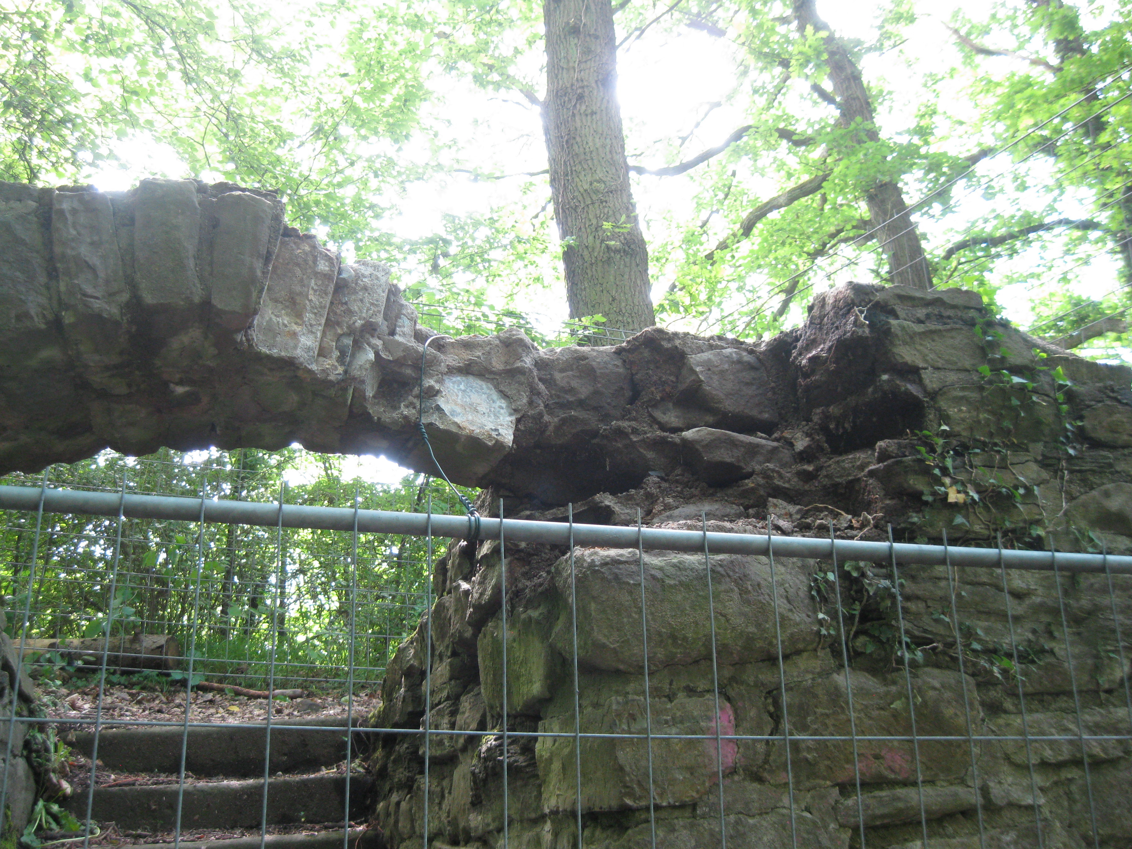 Die Rodenburg. Foto: Antonius Fricke