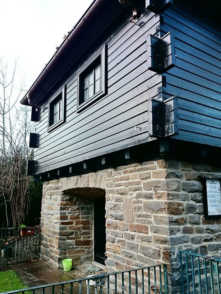 Schwanenhaus__10.01.2019__Foto Walter Hermanns