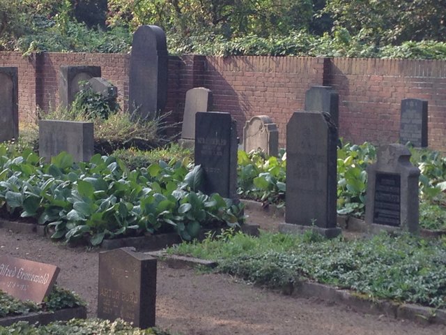 Die Grabsteine am jüdischen Friedhof im Röttgersbach sind schon fast „Geschichtsbücher“ mit vielen Hintergrundinformationen.