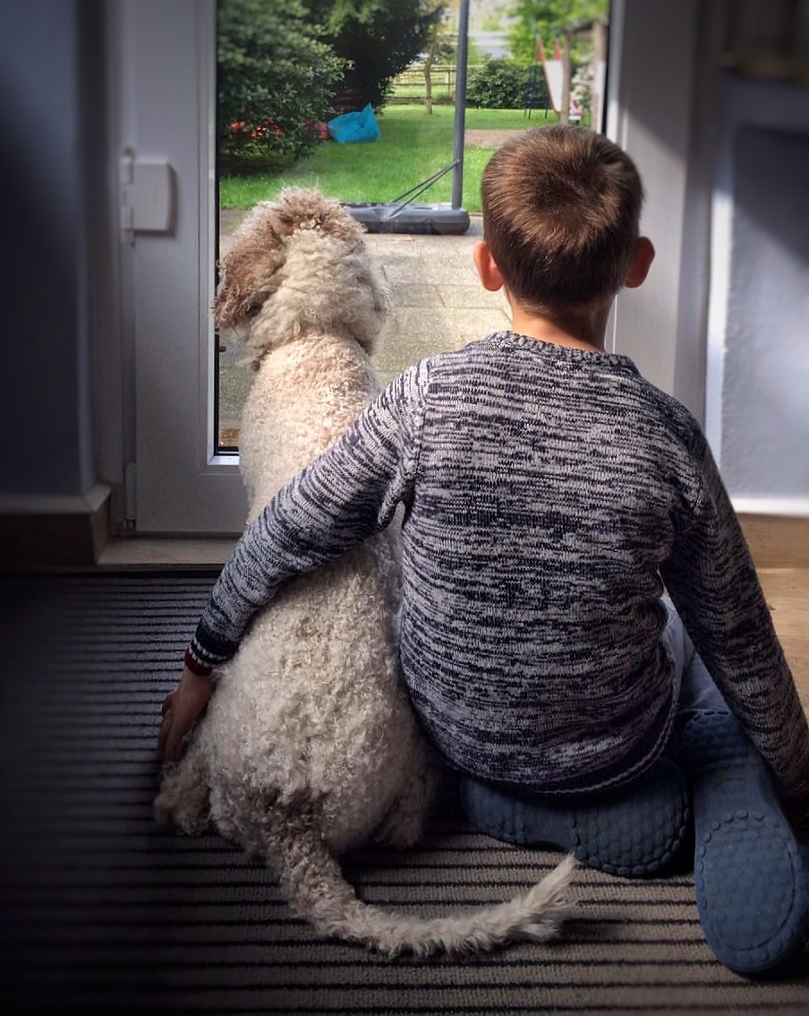 Therapiehund Lumi weiß ganz instinktiv, was gerade richtig ist.