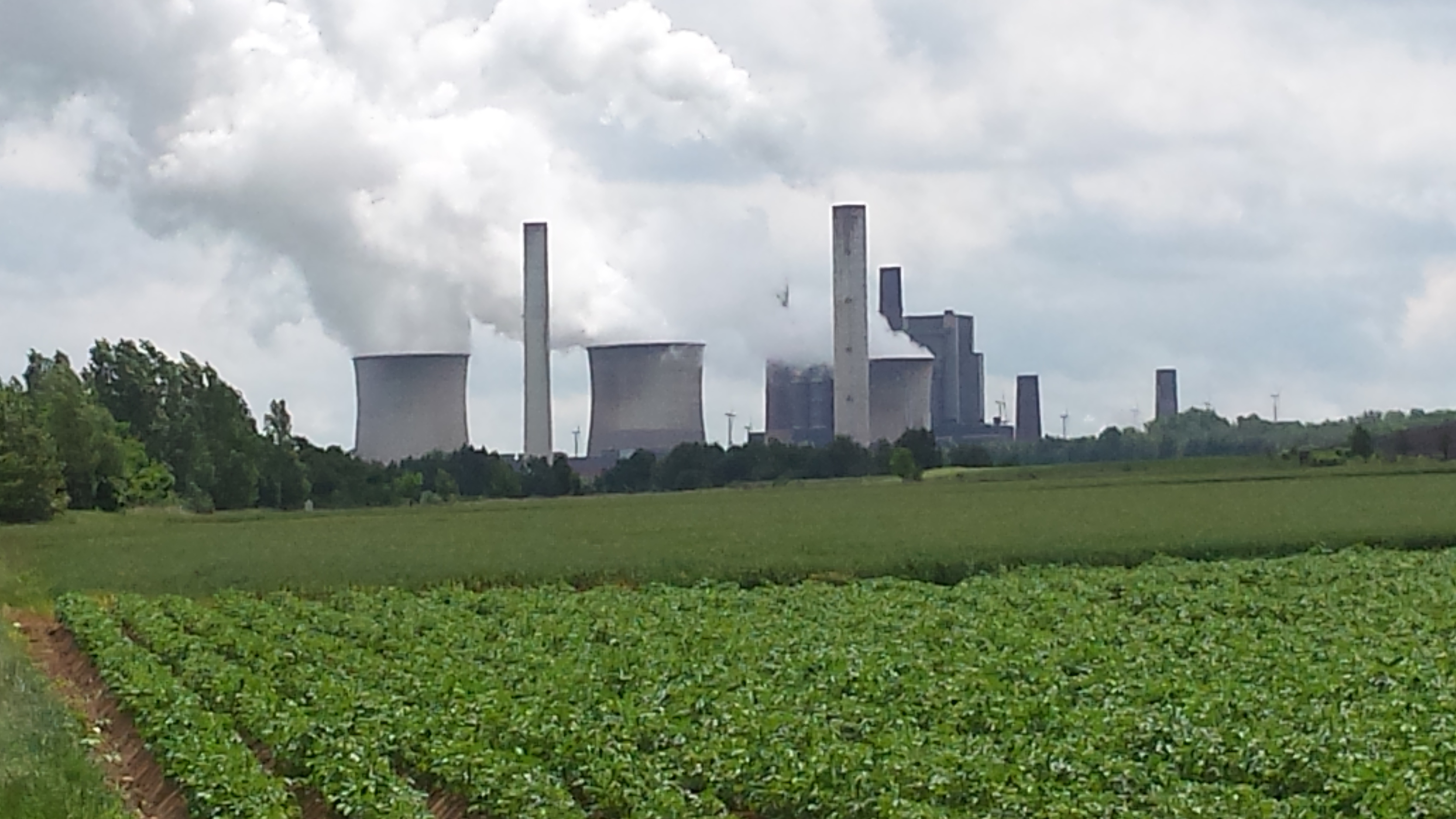 Klimakiller Nummer 1 ist die Braunkohle und ihre Verstromung. Geringe Effektivität und ein hoher Schadstoffausstoß sind die Folgen dieser schon lange nicht mehr zeitgemäßen Art der Energieerzeugung