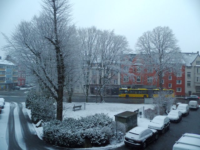 Der letzte Tag im Januar mit Schnee klingt er aus...