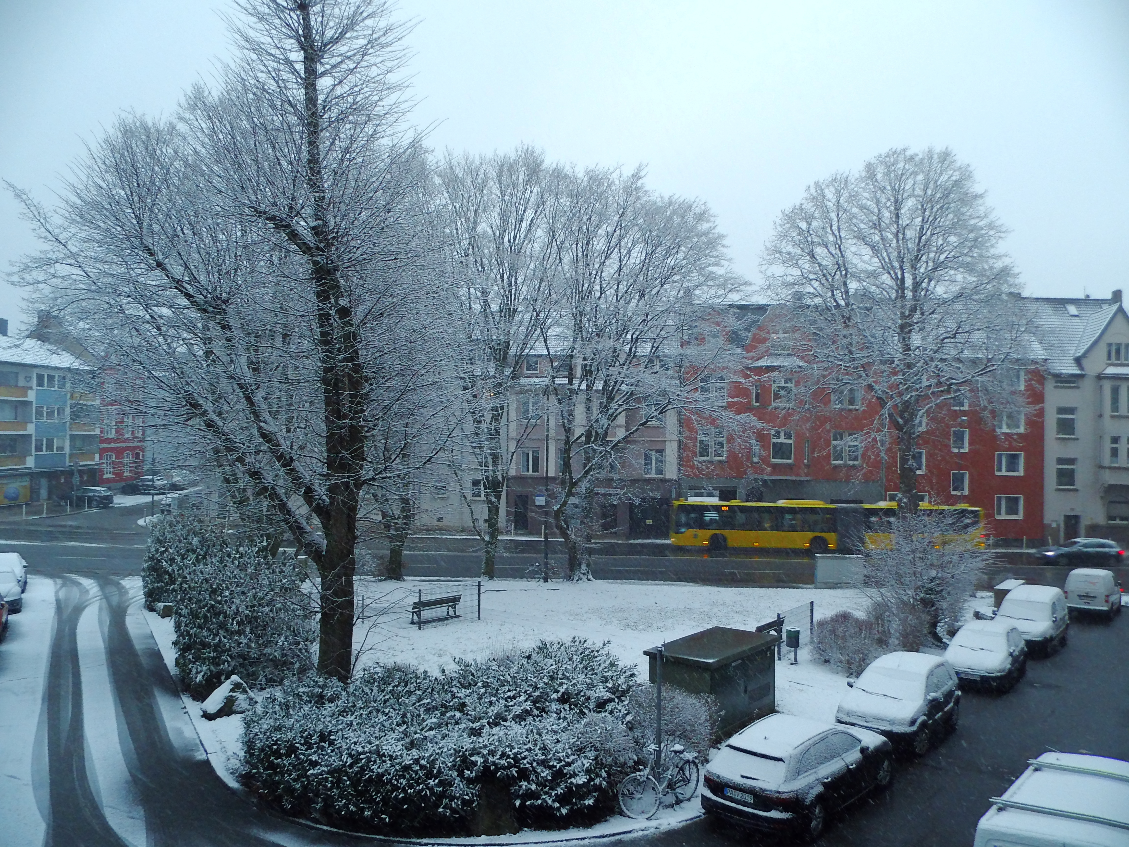 Der letzte Tag im Januar mit Schnee klingt er aus...