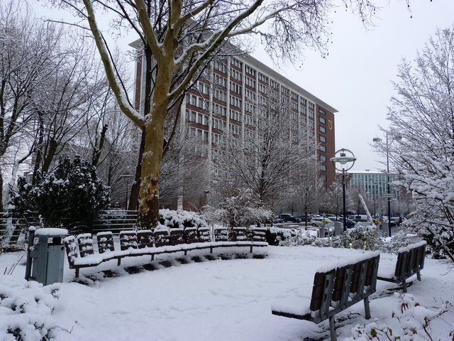 Verschneiter Stadtgarten In Dortmund Dortmund City