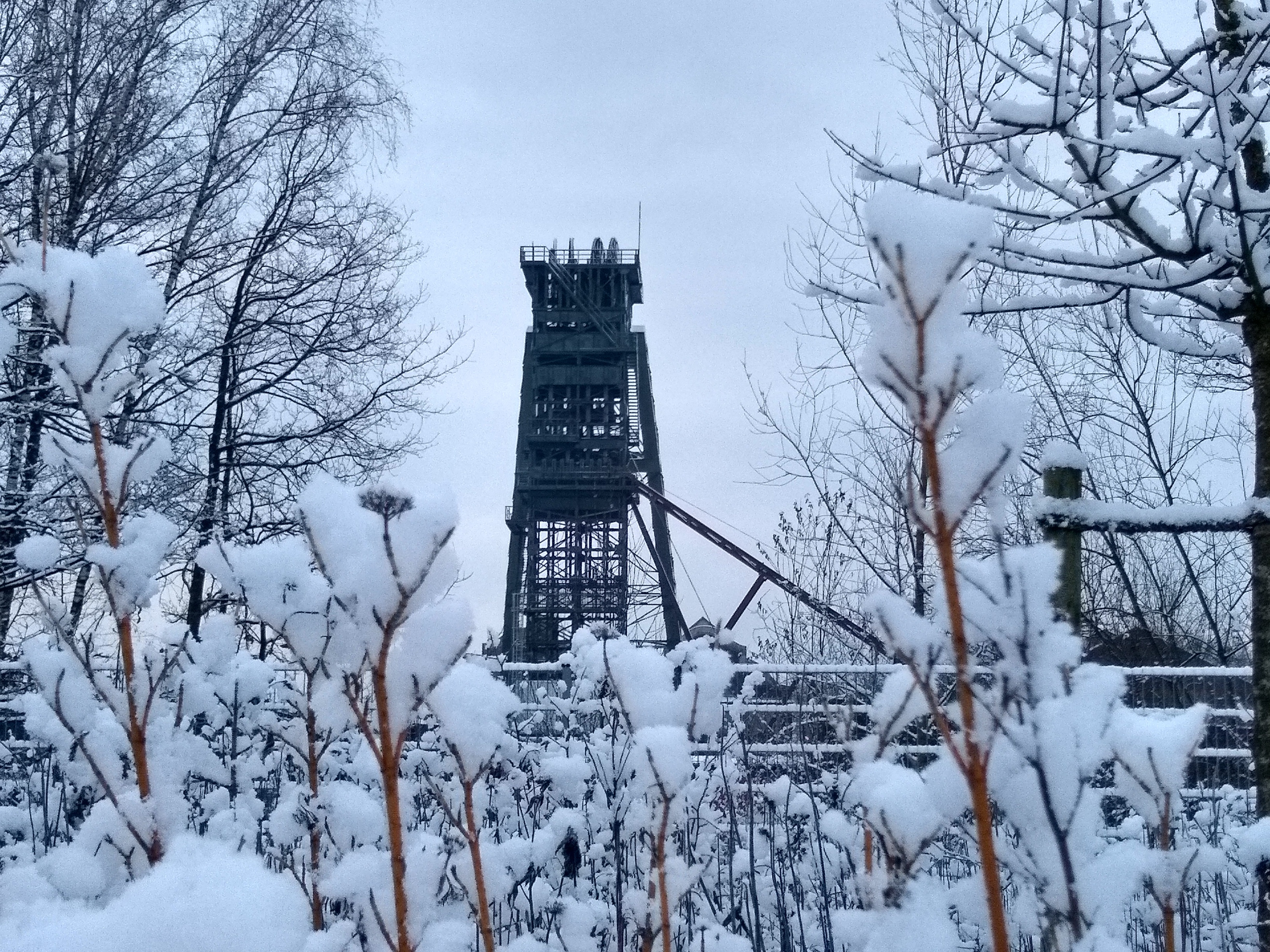 Winterimpressionen in Dorsten