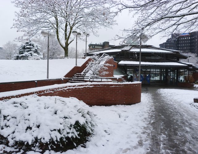 Verschneiter Stadtgarten In Dortmund Dortmund City