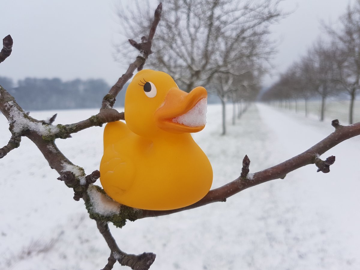 Dieses Hingucker-Foto im Schnee hat Christiane Bienemann gemacht. Foto: lokalkompass.de / Bienemann