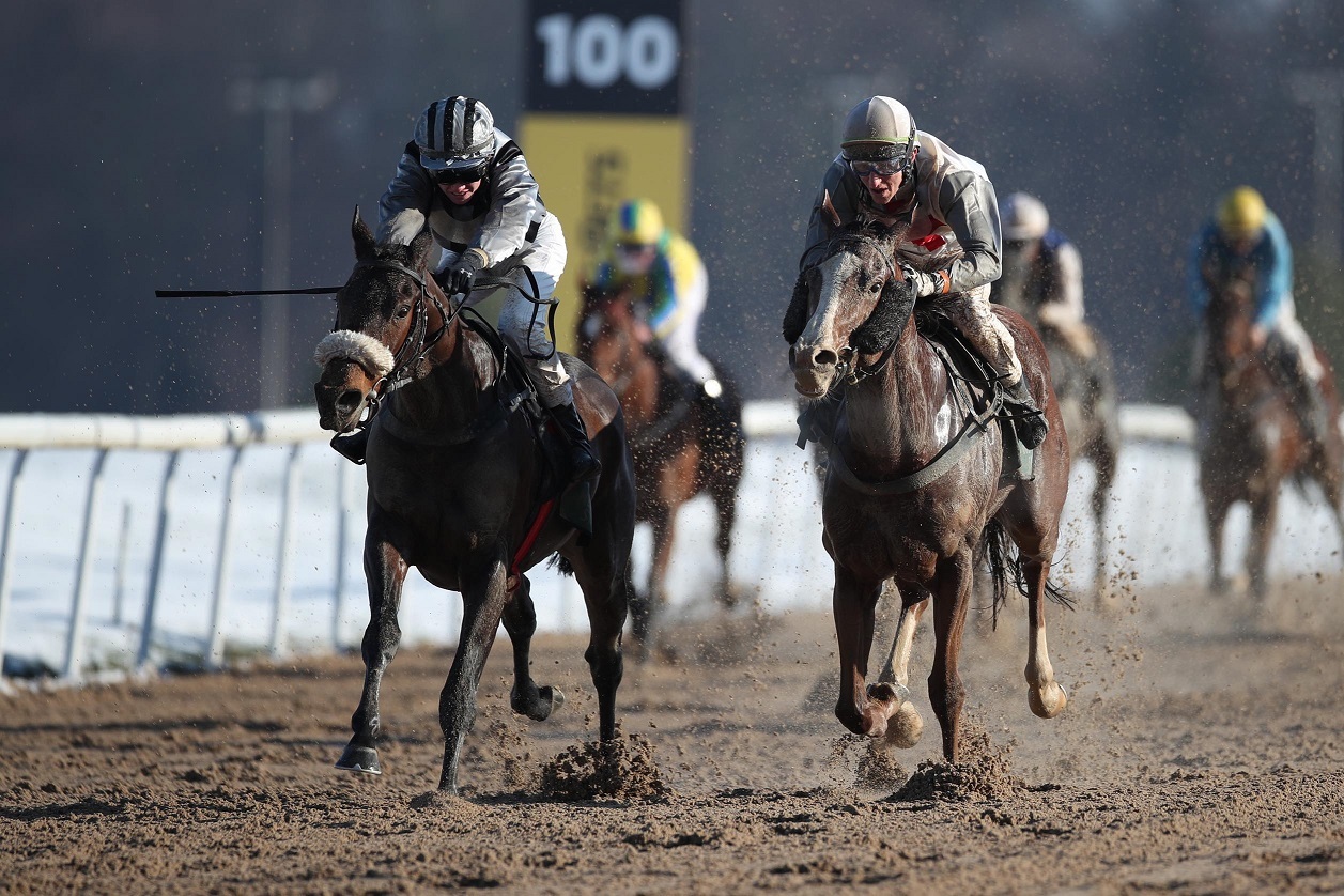 Numerion (links) war der zweite von drei Treffern für Trainer Grewe (Foto Rühl)