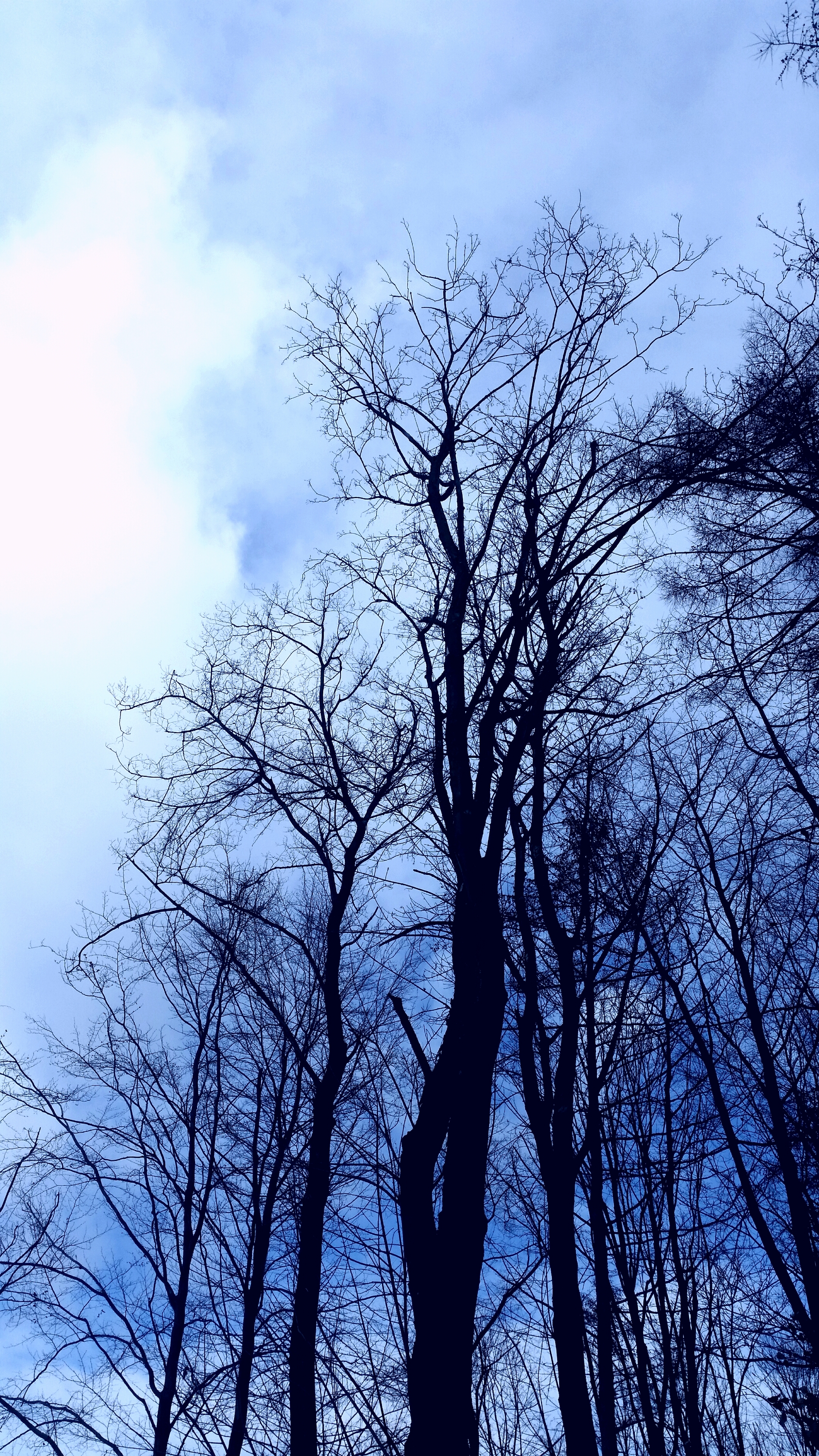 Blauer Himmel