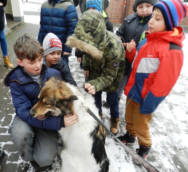Geduldig ließen die vierbeinigen Gäste die Streicheleinheiten der Kinder zu.