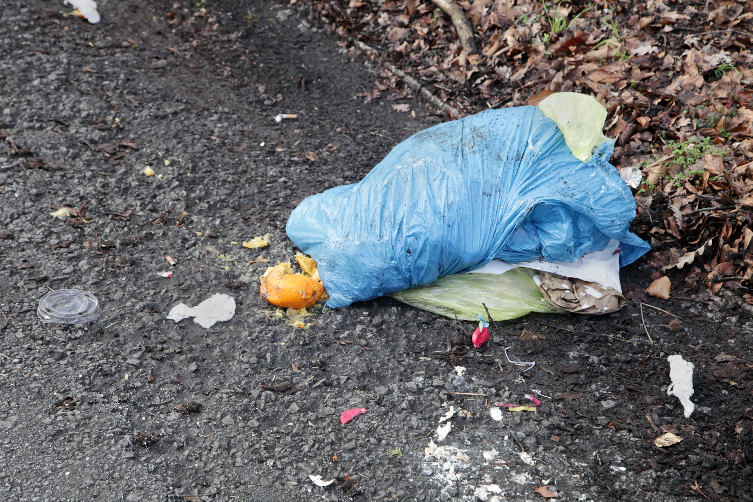 Wilde Müllkippen, hier aktuelle Bilder der vergangenen Woche, sind ein Problem in den Wäldern von Cappenberg.