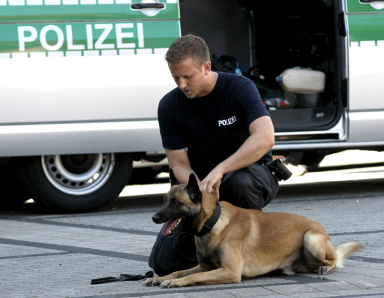 Ein Diensthund der Kamener Polizei schnappte den Einbrecher. Symbolbild: LK-Archiv