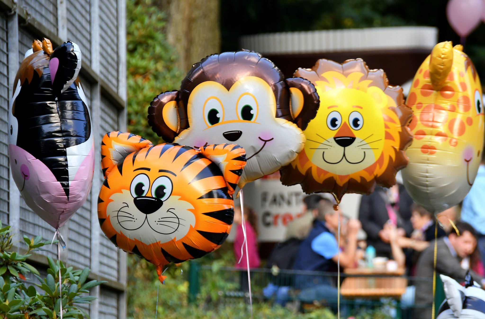 Beliebt bei Groß und Klein ist das Tierparkfest, das in diesem Jahr am 15. September stattfindet.