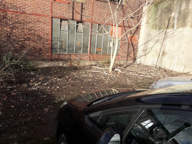 Der städtische Parkplatz an der Gußstahlstraße ist vom Müll befreit. Foto: UWGFB