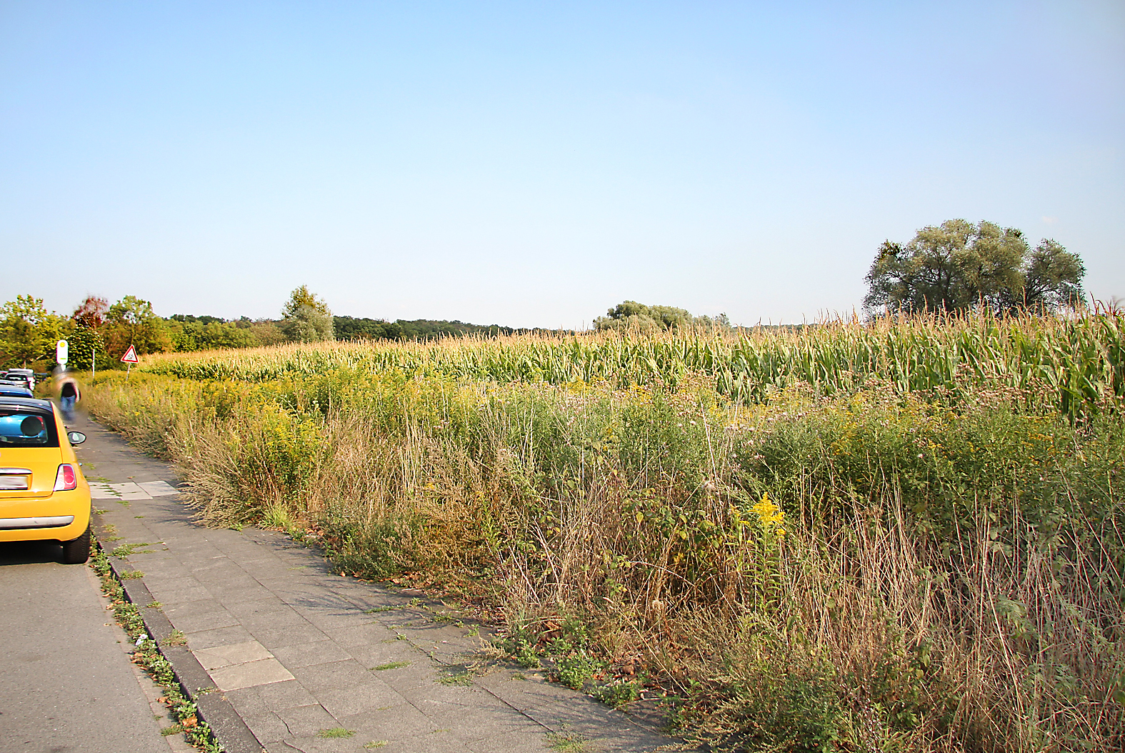 Die Stadtverwaltung möchte die Xscape-Fläche an der A42/B235 im Regionalplan Ruhr als allgemeinen Siedlungsbereich festlegen lassen.