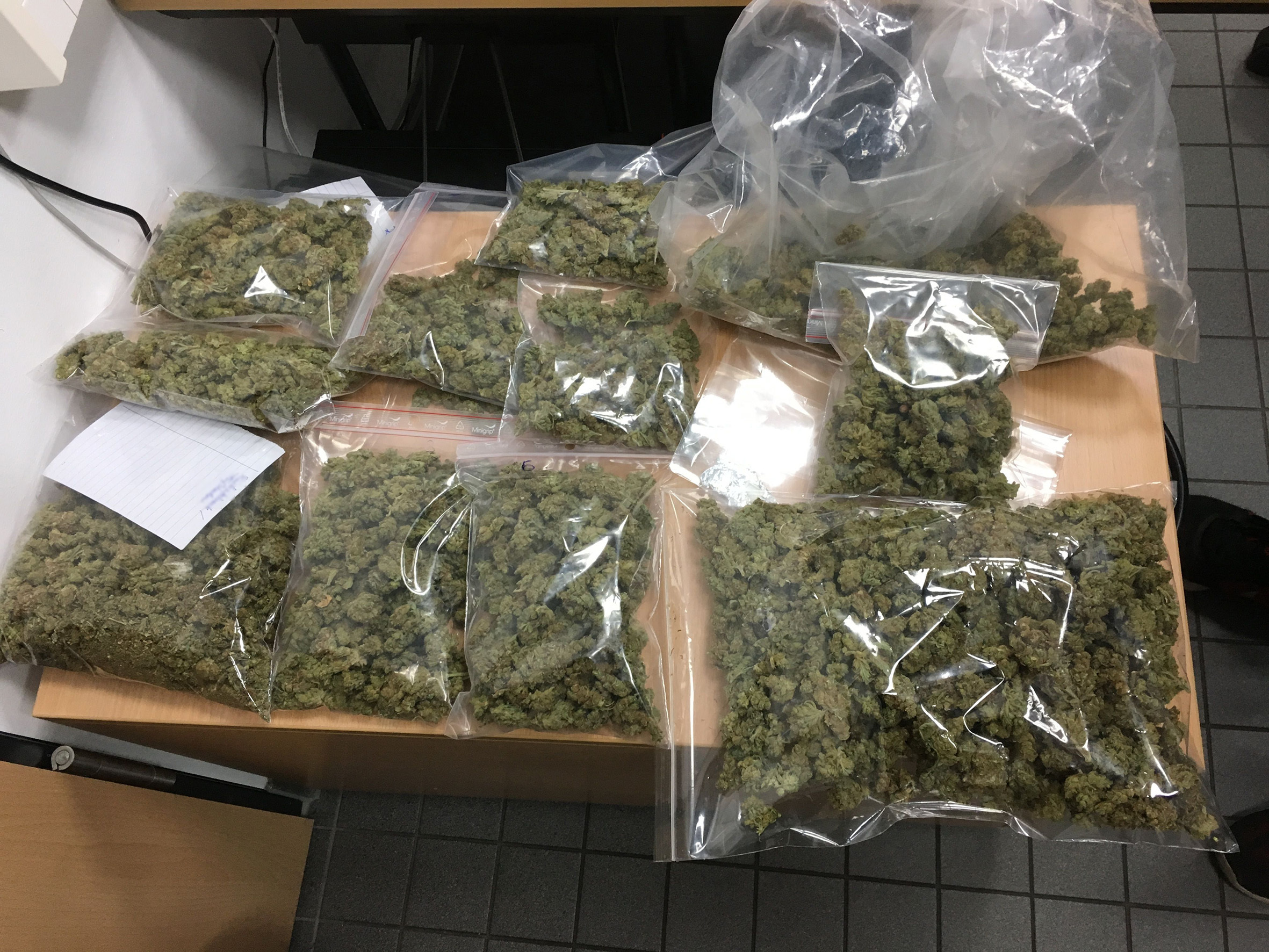 Die Polizei stellt eine große Menge Marihuana sicher.