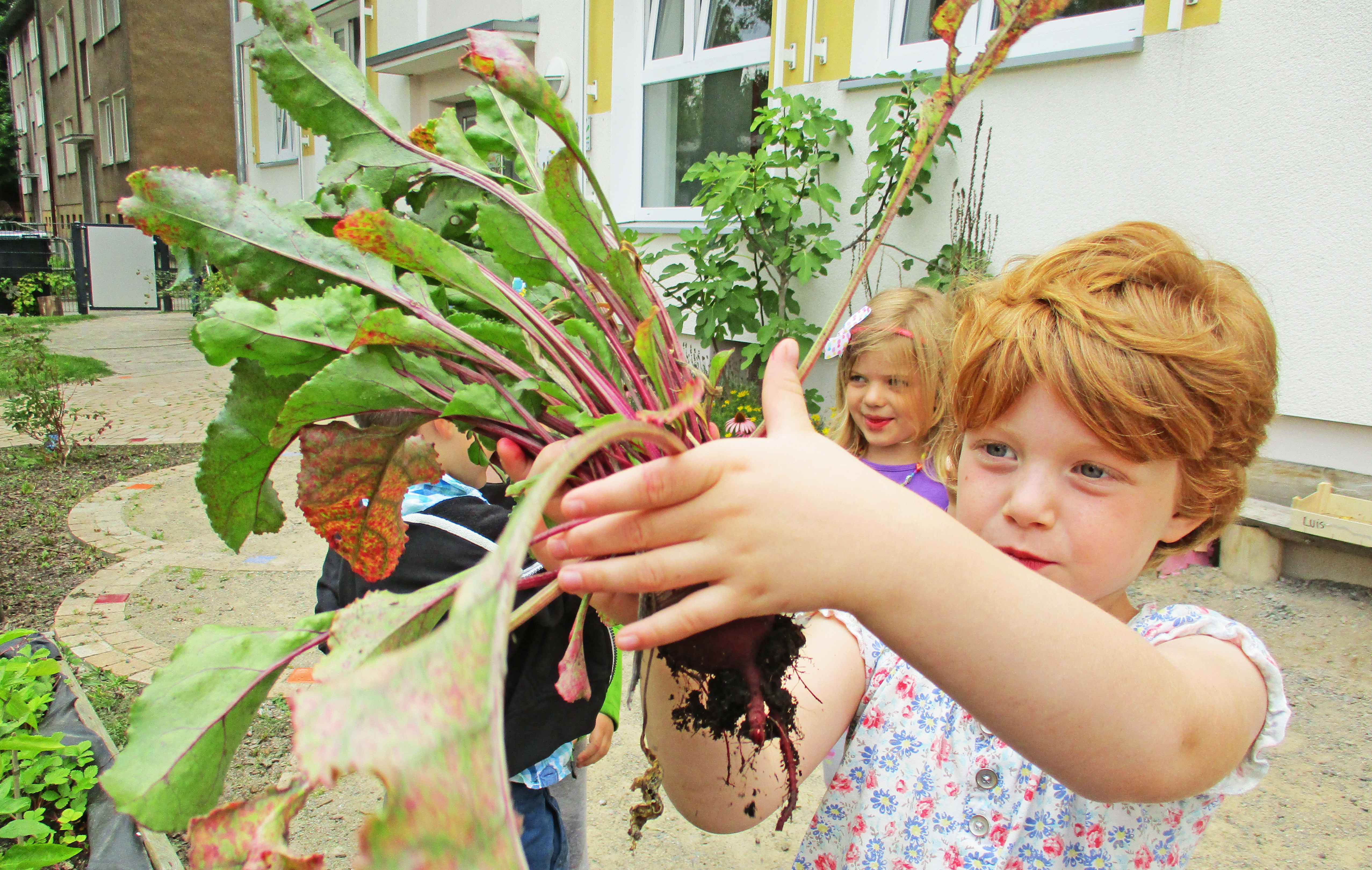 Damit Salate, Radieschen, Paprika und Co. in allen VKJ-Erlebnisgärten so gut gedeihen, sucht der Verein noch ehrenamtliche Helfer, die mit den Kindern gärtnern möchten. Foto: VKJ