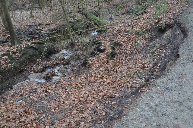 Der Hang oberhalb des Bachlaufs ist nicht zum ersten Mal abgerutscht.