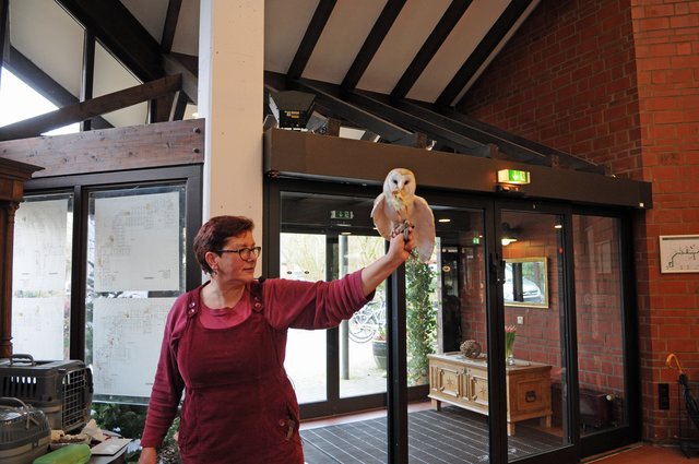 Falknerin Sabine Ehmanns-Kramp mit Schleiereule Charlotte.
 | Foto: Andrea Leuker, Erziehungsverein