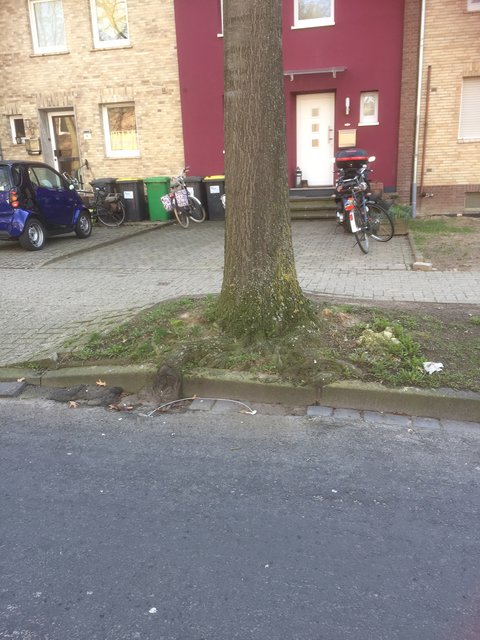 So sah die Situation aus, als der Baum noch vor dem Haus stand.