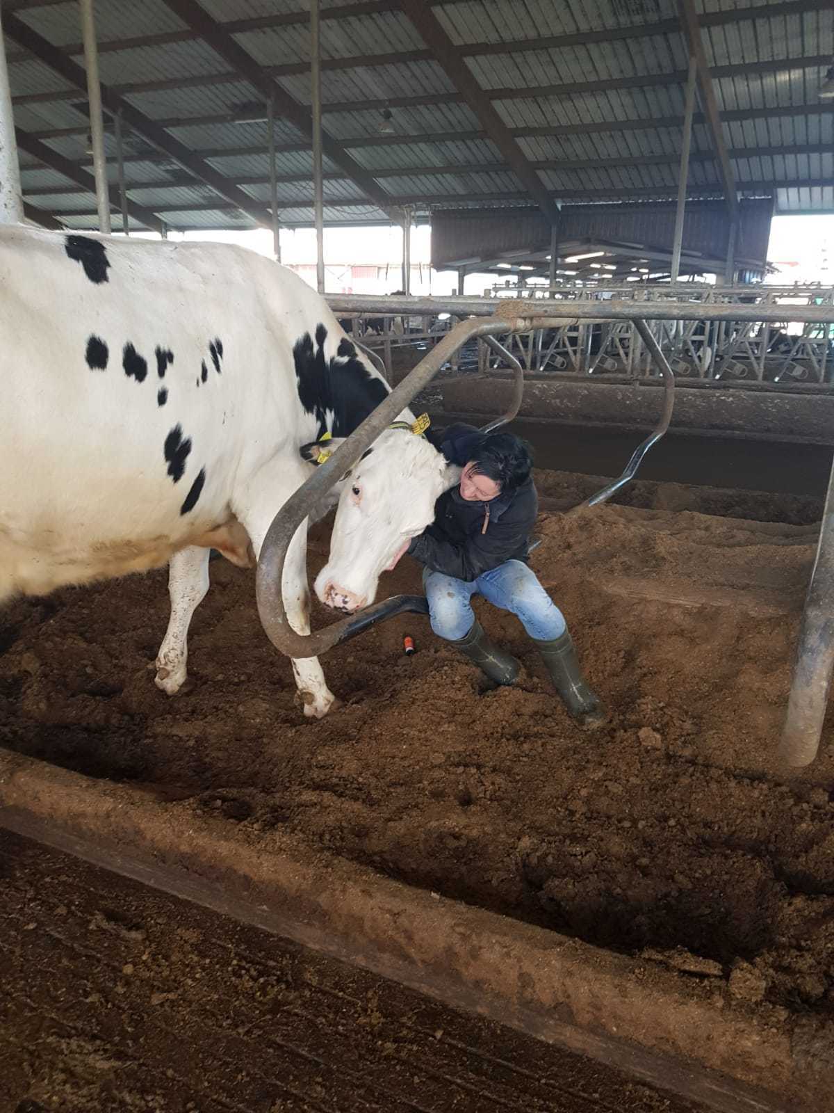 Sandra Niemann sucht nach Paten für ihre besondere tierische Freundin.