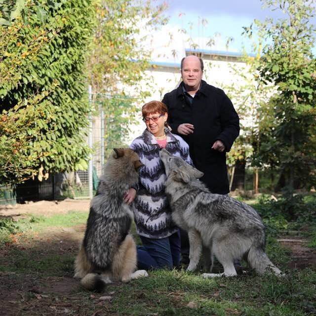 Gabriele Etgeton (Fuchsbeauftragte der Tierschutzpartei Landesverband NRW) und Jörg Etgeton, Leiter der Regionalgruppe Tierschutzpartei Gelsenkirchen/Recklinghausen, zu Besuch bei Wolfsfreunden. Es handelte sich um an Menschen gewöhnte, nicht wilde Wölfe in einem Gehege, der Besuch erfolgte unter Fachaufsicht, die Etgeton sind erfahren im Umgang mit Wölfen.