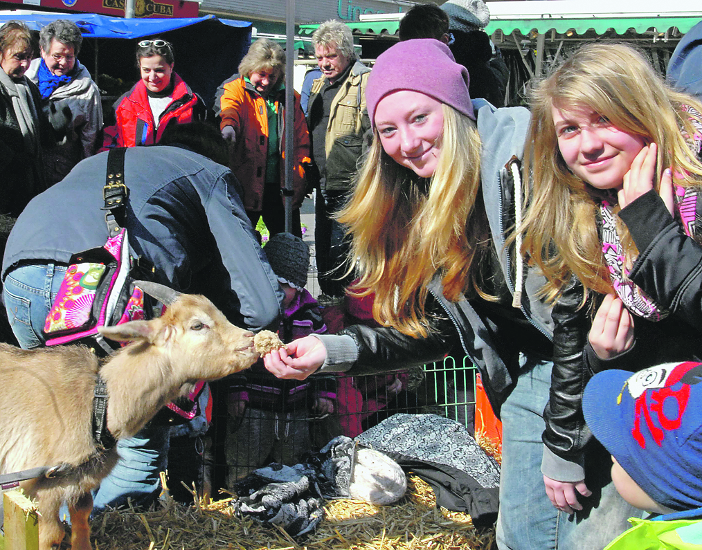 Im Streichelzoo können am März die Besucher nun wieder länger bei den Ziegen verweilen.