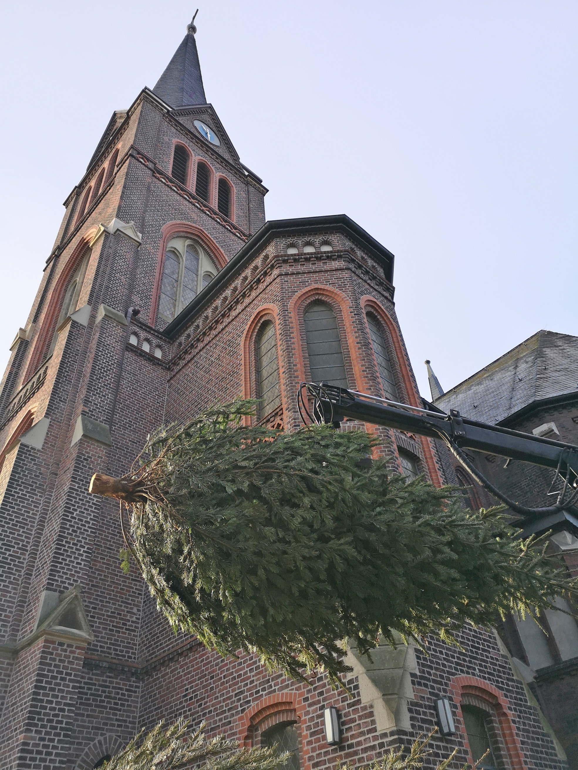Fast wirkt es, als würde der Tannenbaum fliegen, aber keine Sorge: Er hängt im wahrsten Sinne „am Haken“, und zwar eines Kranarmes am Laster aus dem Betrieb von BSV-Geschäftsführerin Ingrid Sackenreuther. Foto: Privat