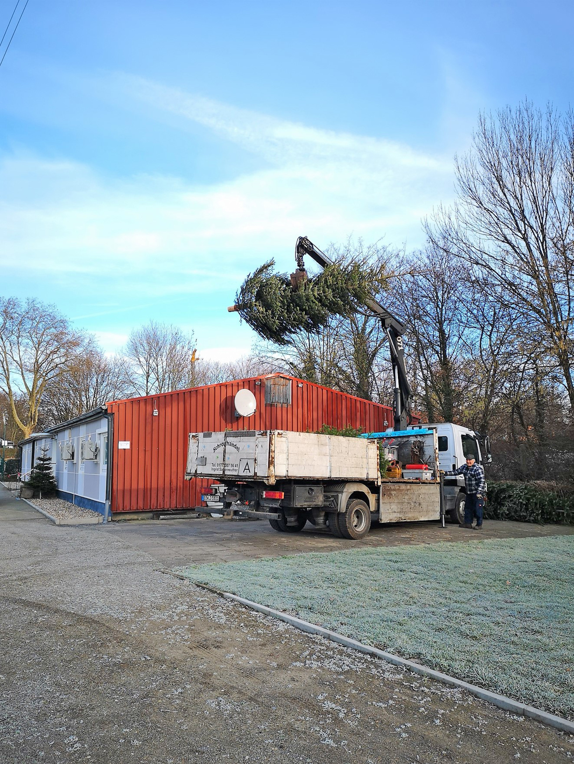 Bis zu ihrem nächsten großen und glanzvollen Einsatz müssen sich die ausgedienten Weihnachtsbäume noch ein wenig gedulden, aber am Karsamstag kommen sie noch einmal ganz groß raus, wenn sie in Flammen aufgehen. Foto: Privat