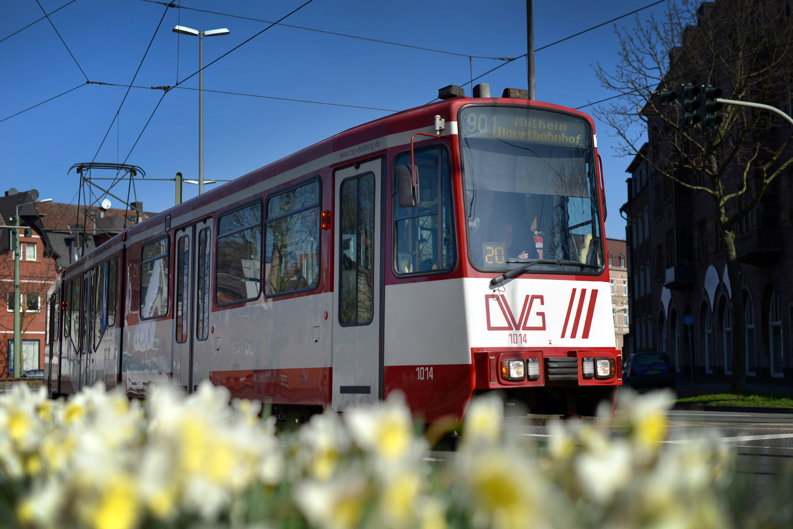 Die Straßenbahnen der 901 und 903 werden auf bestimmten Abschnitten, am Karnevalssonntag, durch Busse ersetzt. Am Rosenmontag fahren die Linien der 901, 903 und U79 häufiger.