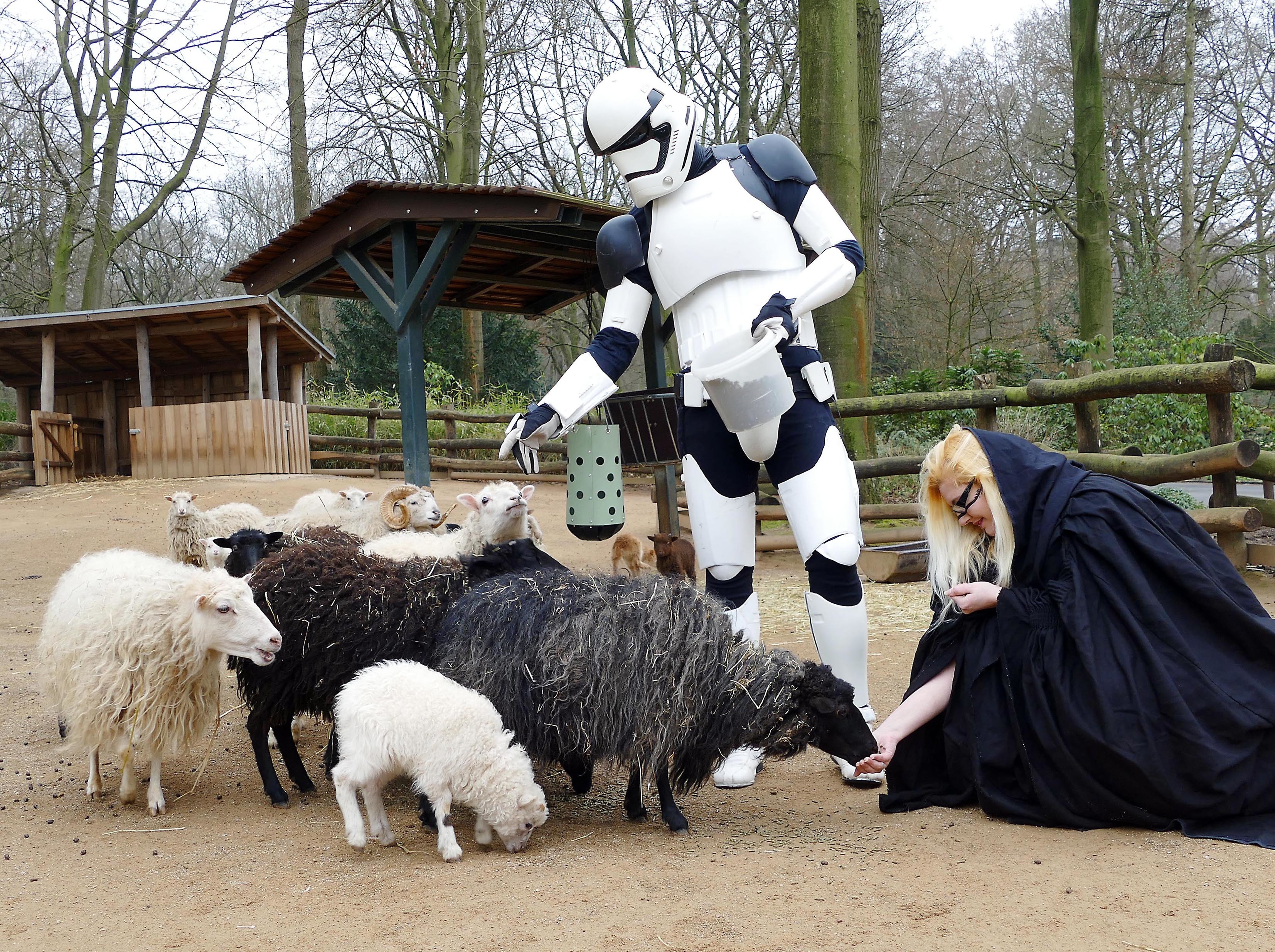 Storm Trooper und andere fremde Wesen aus dem Star-Wars-Universum sind Sonntag zu Gast im Zoo.