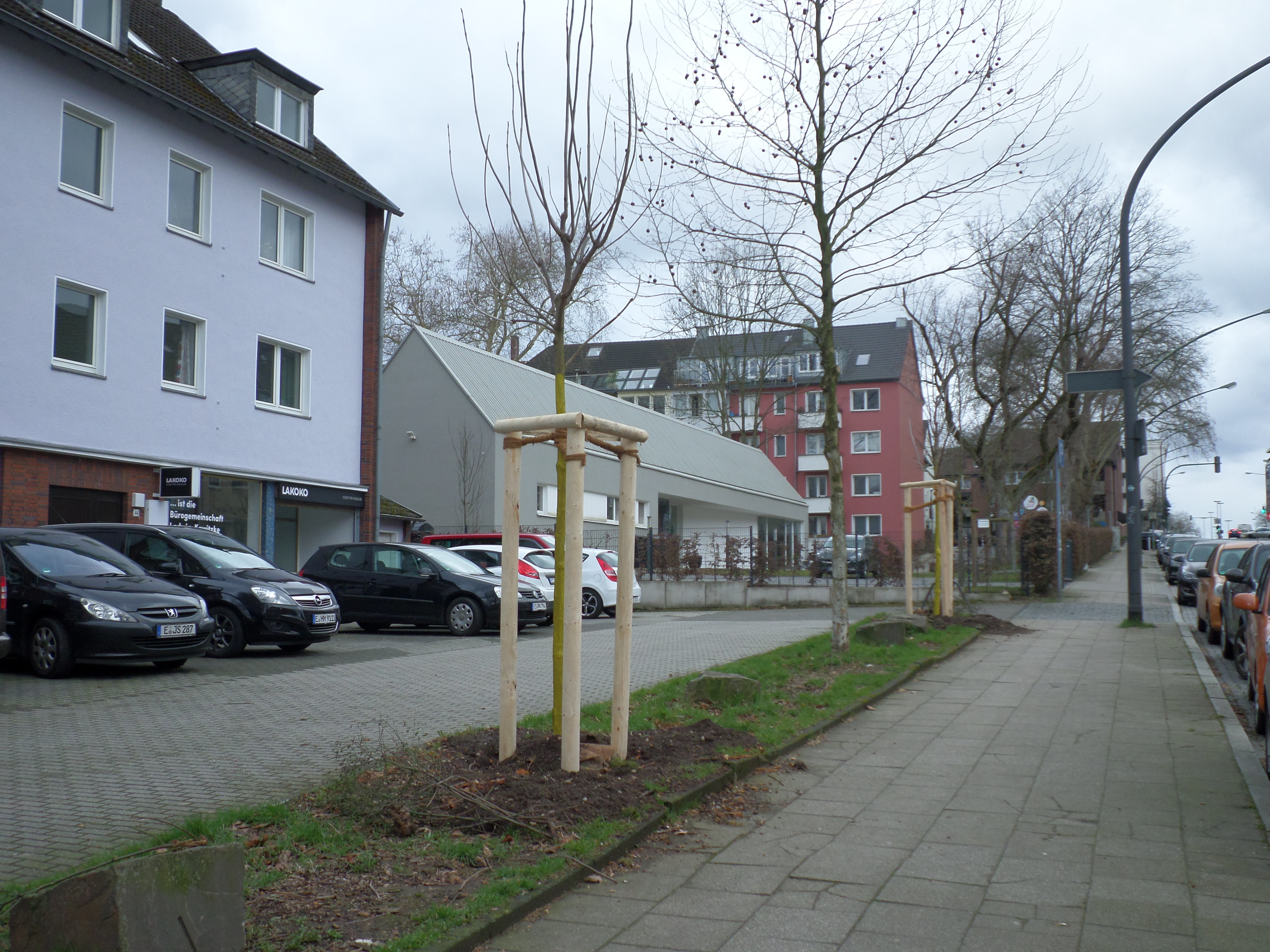 Geht doch...Neue Bäume wurden gepflanzt...