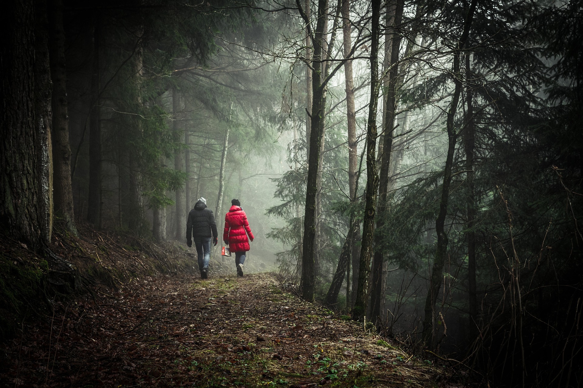 Zwei geführte Wanderungen werden um 9:30 Uhr für die lange Tour bzw. 10.30 Uhr für die Kurzstrecke angeboten. Foto: Archiv
