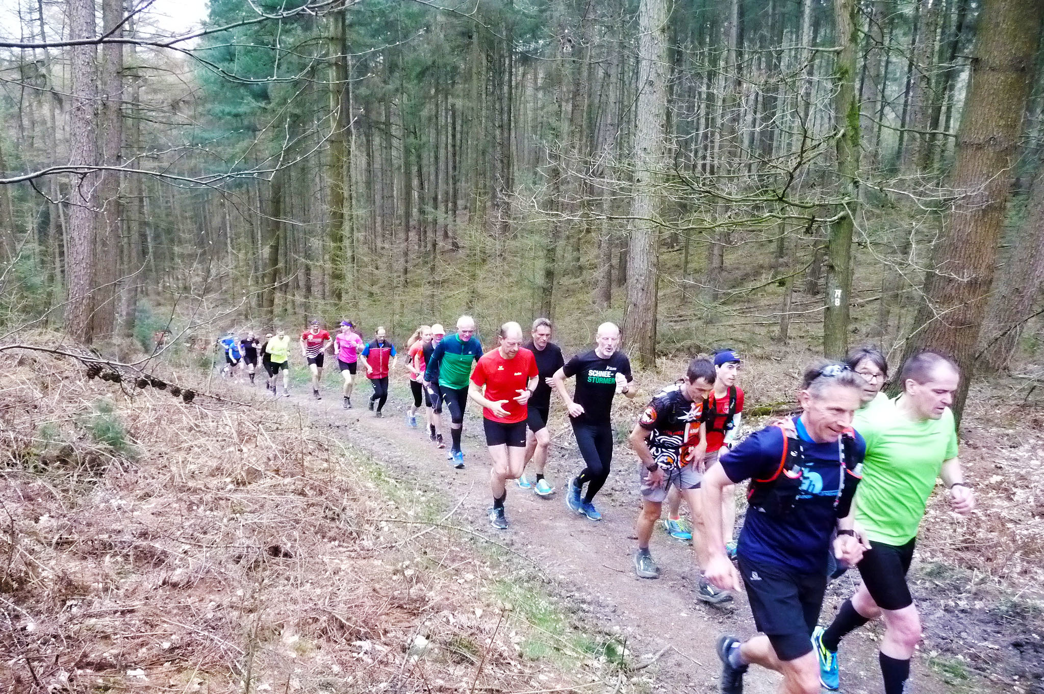 Am Sonntag, 17. März, findet wieder der bei Läufern bekannte Hohe-Mark-Trail statt – ein anspruchsvoller Gruppenlauf über 20, 30 oder 50 Kilometer bei insgesamt rund 800 Höhenmeter.
