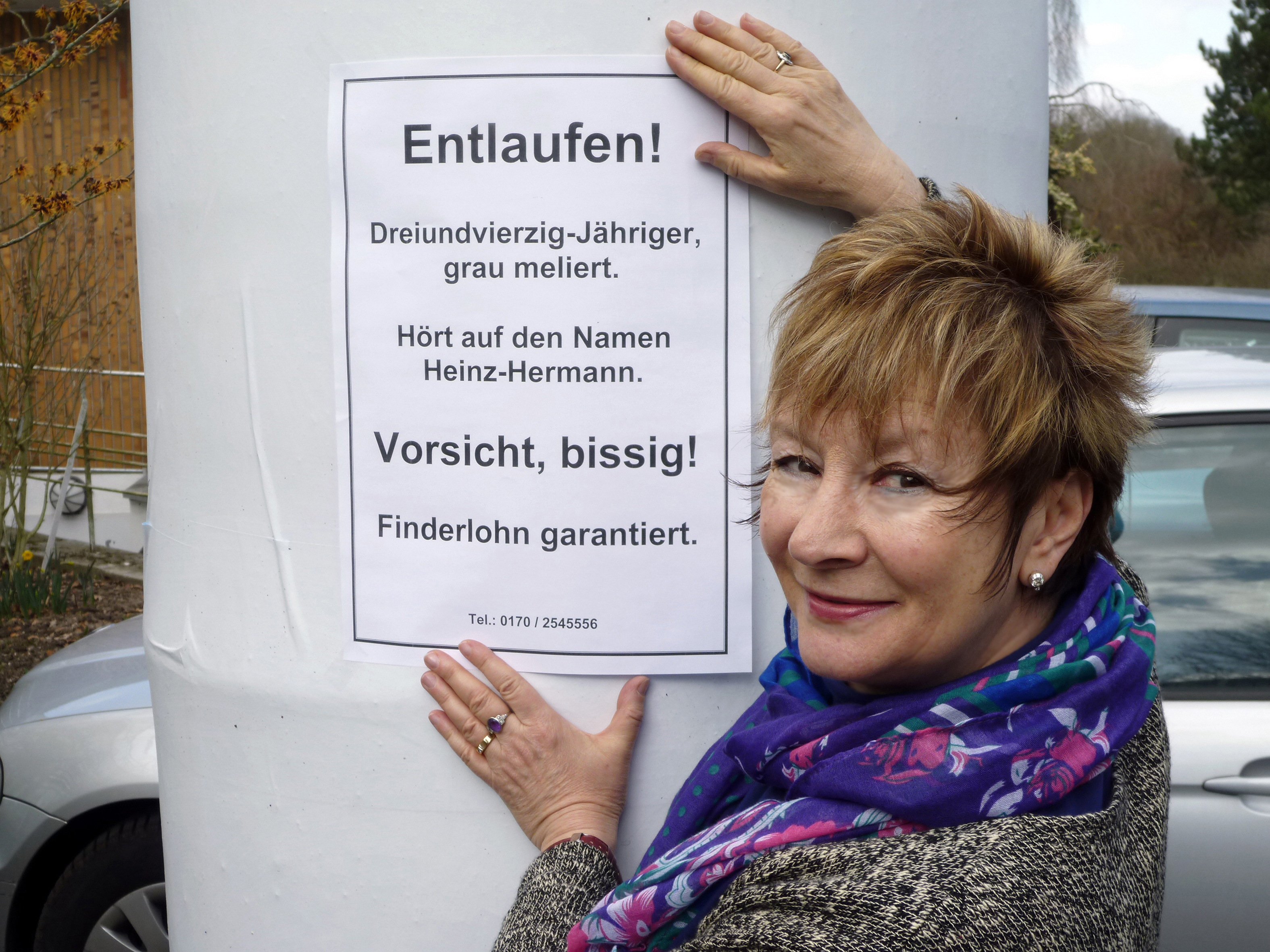 Es wird fleißig plakatiert. Nein, nicht die Katze ist Kriszti Kiss entlaufen...