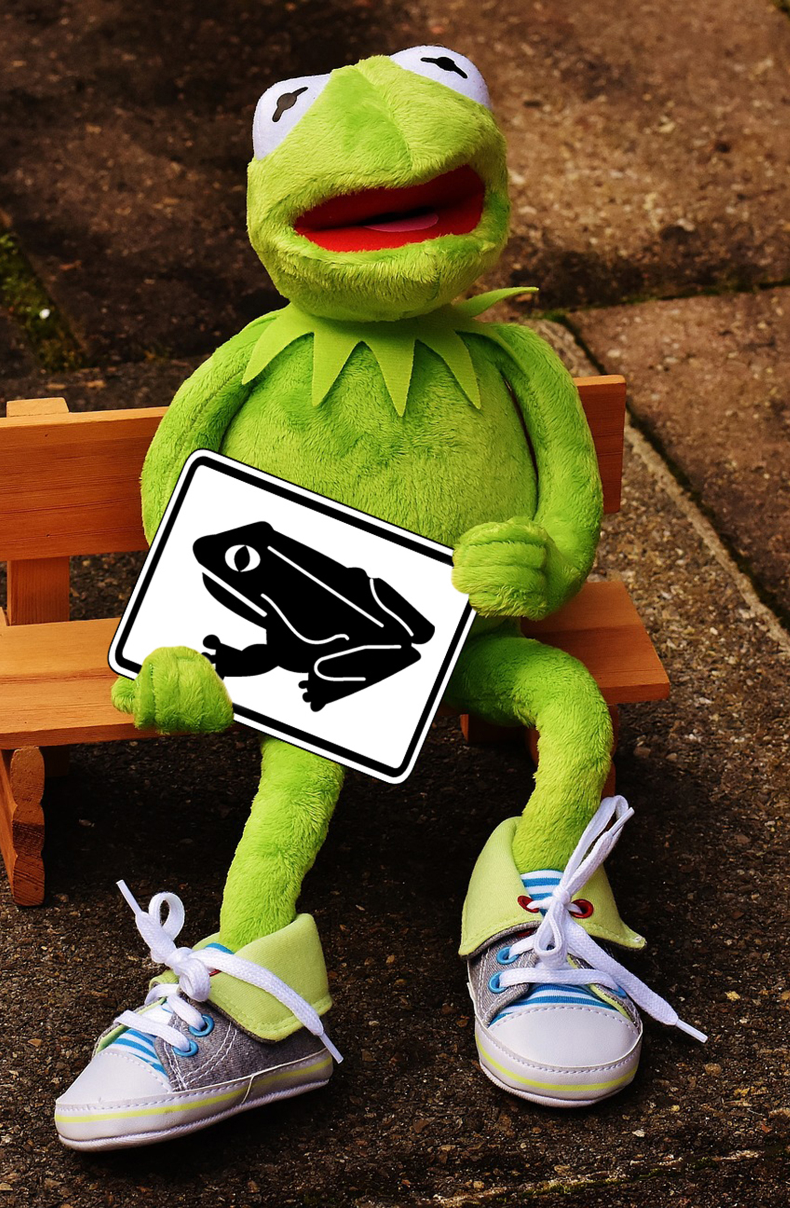 Die milden Temperaturen haben Frösche, Kröten und Molche geweckt. Nun haben sie nur das eine im Kopf: Auf zum Laichgewässer! Damit die liebestollen Amphibien diese auch erreichen, sollten Verkehrsteilnehmer Rücksicht nehmen. Wo und auf welche Weise besondere Vorsicht gefragt ist, steht in diesem Artikel. Fotomontage: Nina Sikora/Pixabay