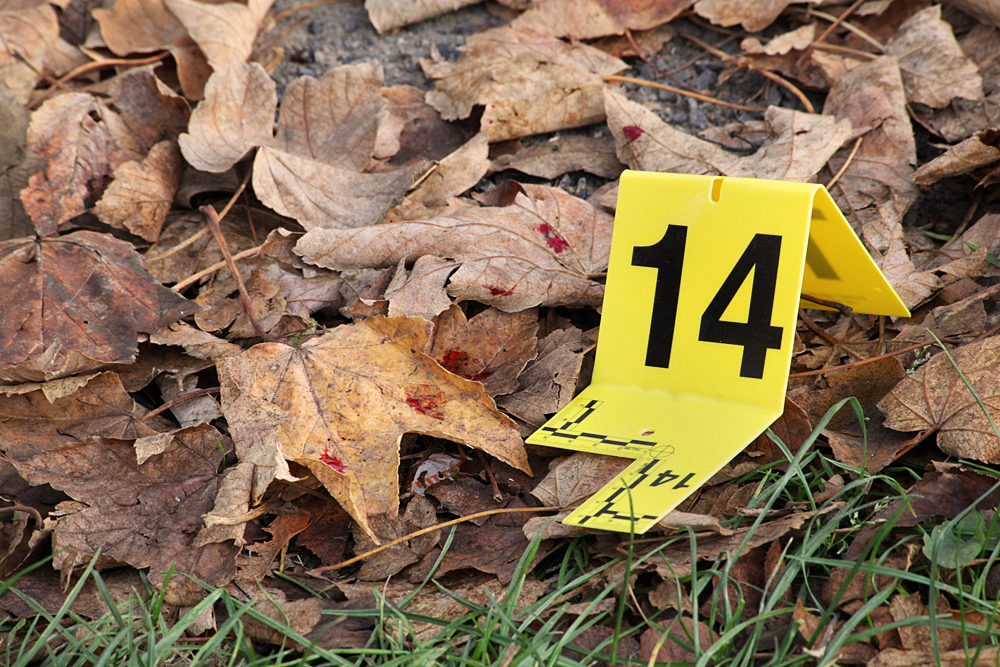 Polizei und Staatsanwaltschaft ermitteln nach einem versuchten Mord.