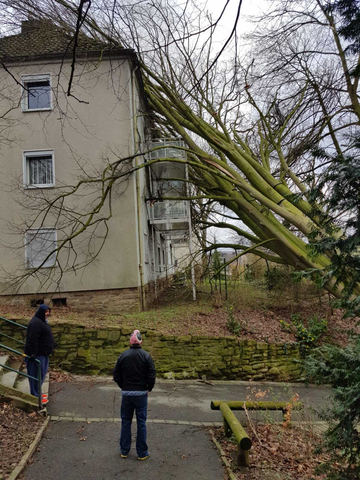 In der Ardeystraße in Wetter stürzte ein Baum in ein Wohnhaus in der Bornstraße drohte eine ähnliches Szenario.