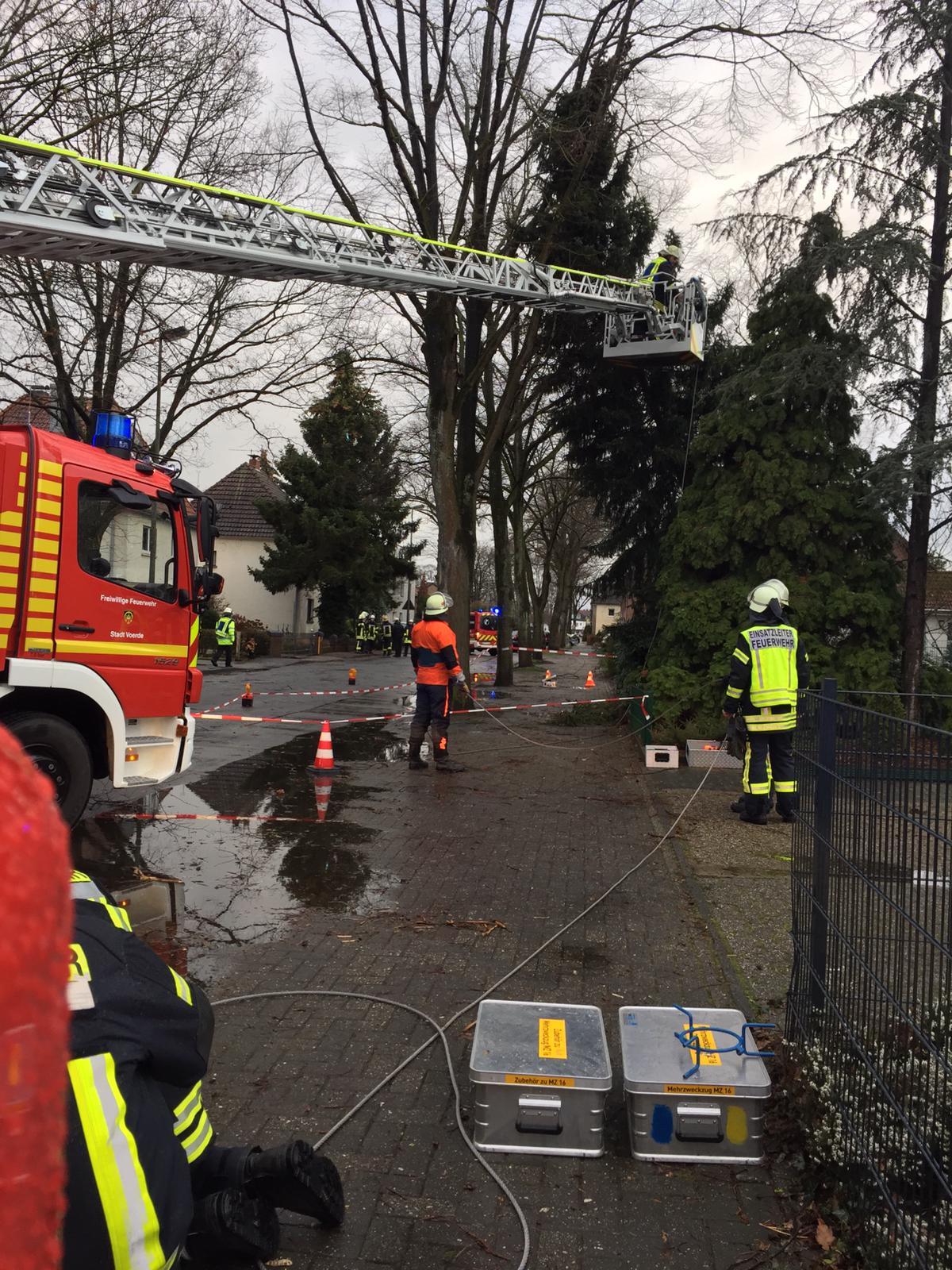 Auf der Poststraße in Voerde drohte ein Baum auf die Straße zu stürzen.