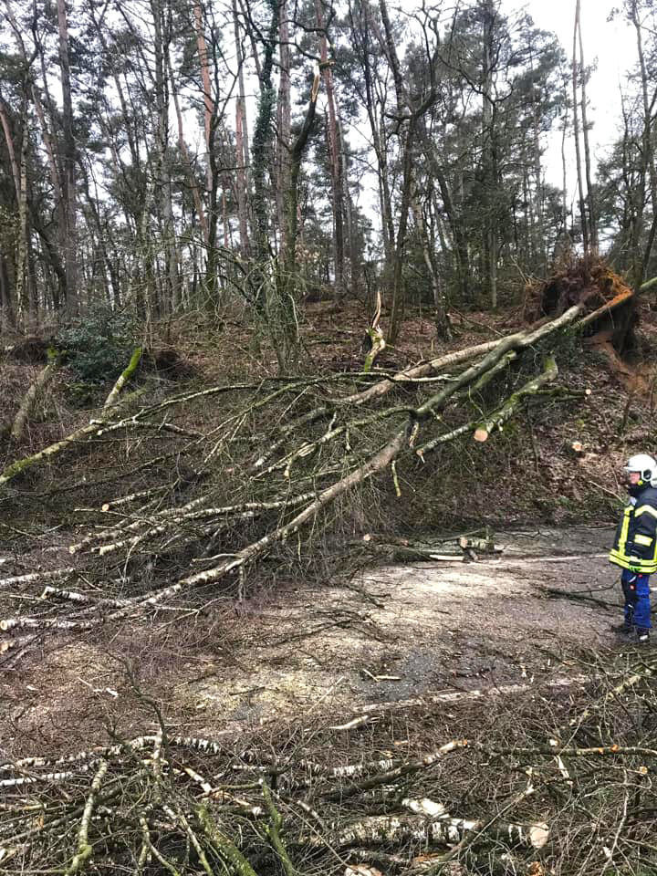 Straßen wieder passierbar machen musste die Feuerwehr auch in Haltern am See. Foto: Freiwillige Feuerwehr Haltern