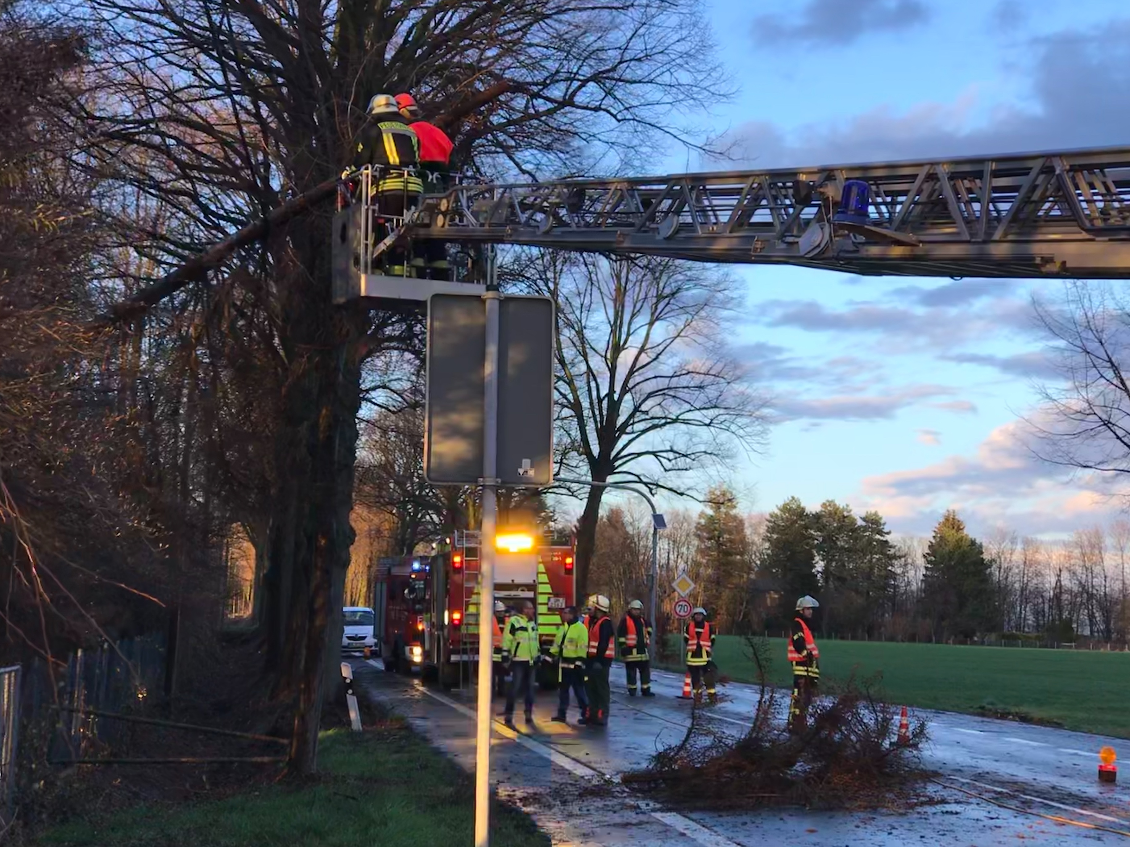 Die Feuerwehr Overberge schnitt die Fichte von der Drehleiter aus zurück. Fotos (5): Feuerwehr Overberge / André Wortmann