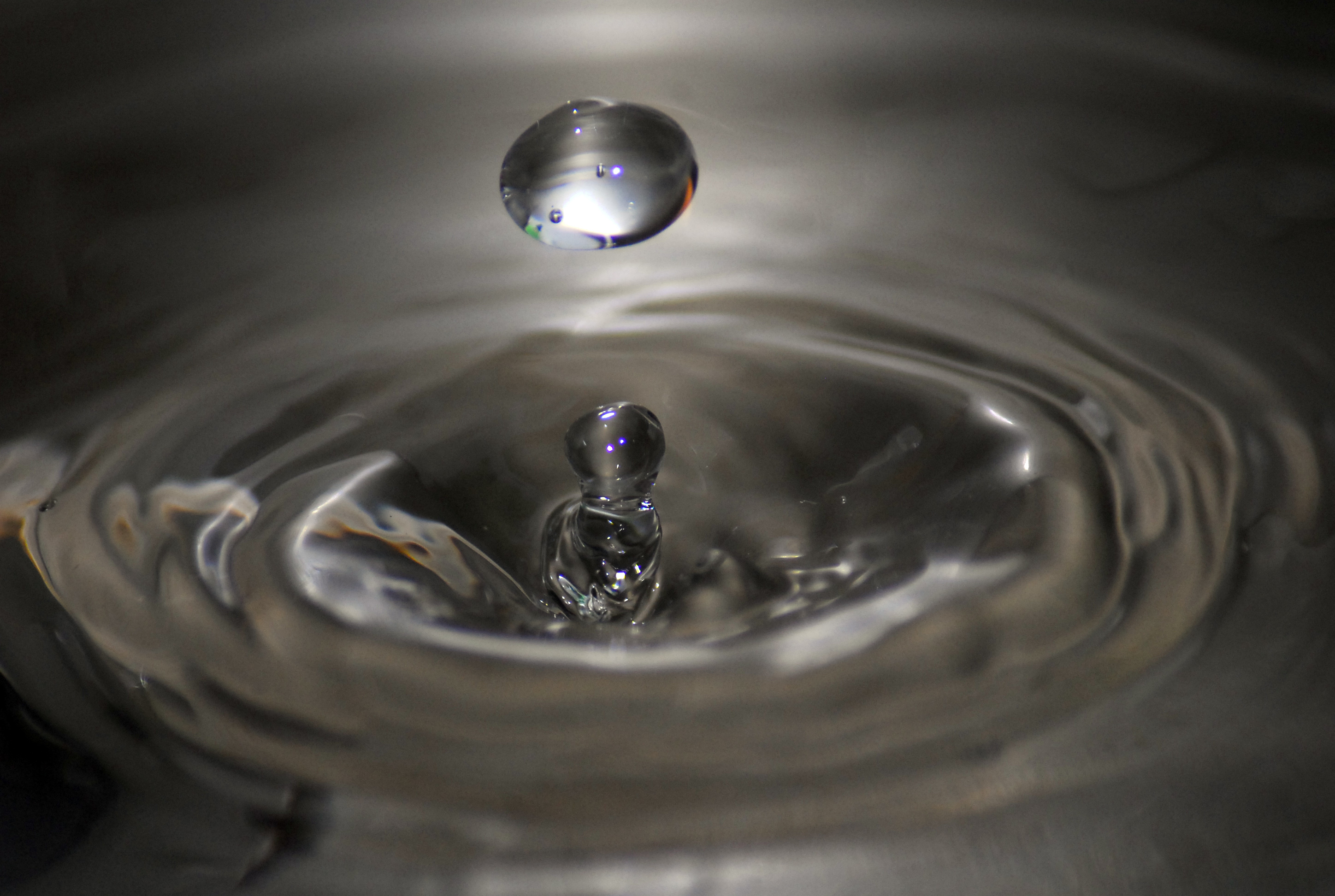 Die Wahrheit über unser Trink- und Mineralwasser.