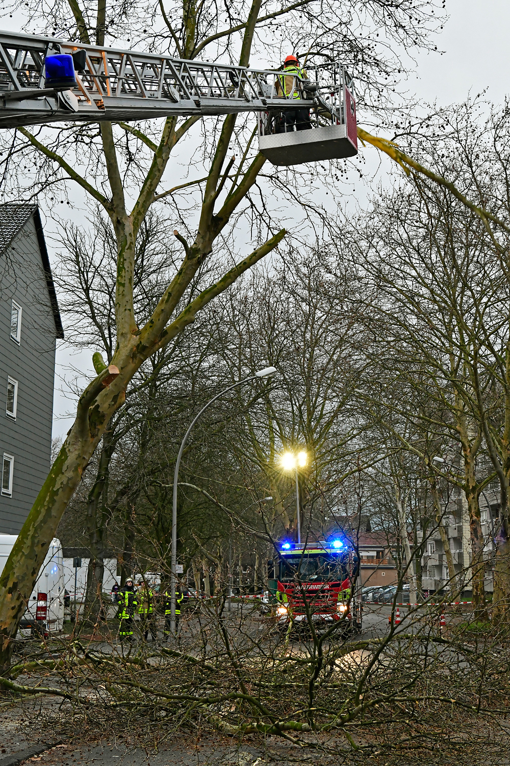 Ein an der Bülser Straße in Gladbeck-Ost stehender Baum, drohte am Sonntagnachmittag auf die Fahrbahn zu stürzen. Das rief die Feuerwehr auf den Plan, die die Gefahrenquelle beseitigte.