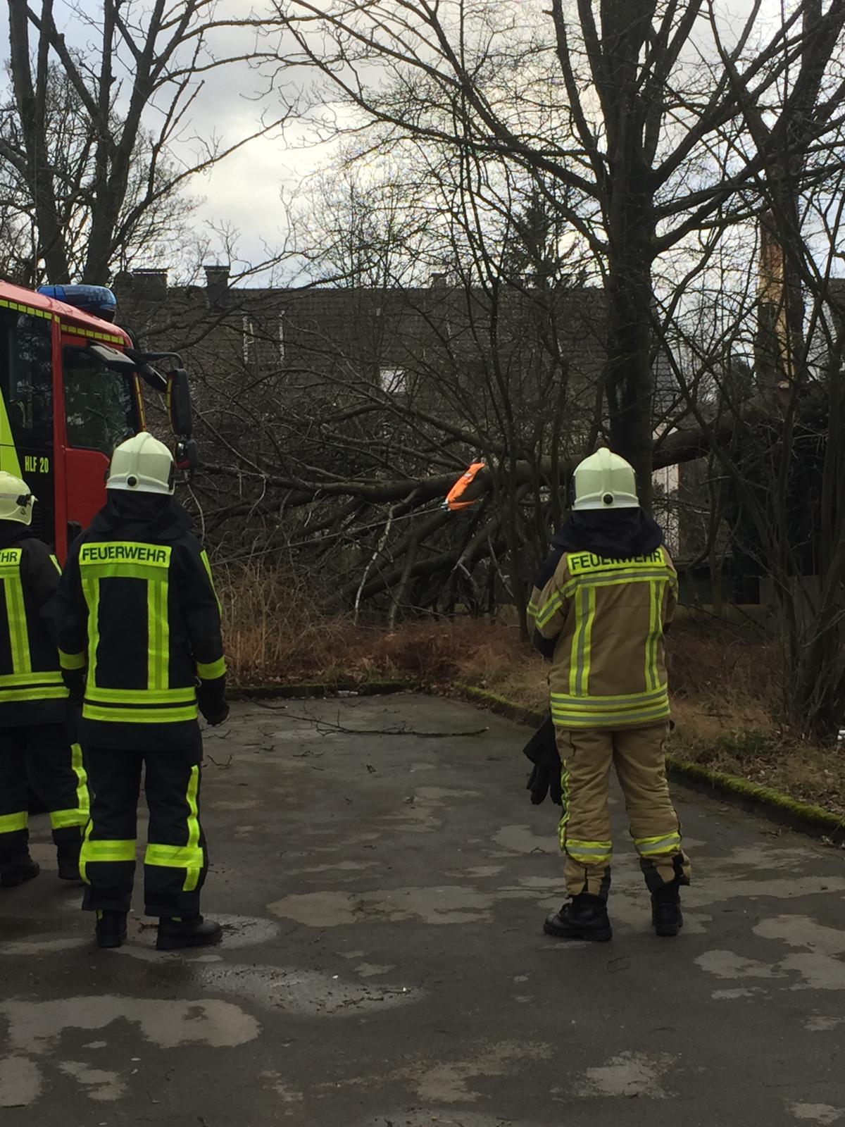 Umgekippte Bäume beschäftigten die Feuerwehr.