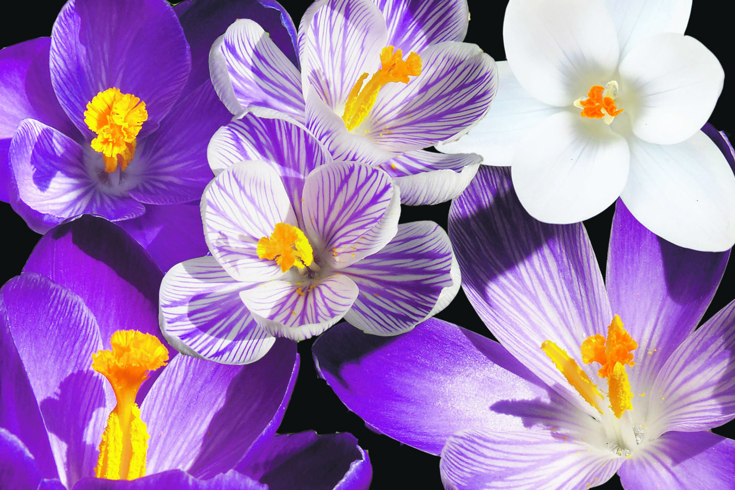 Foto: WA-Archiv